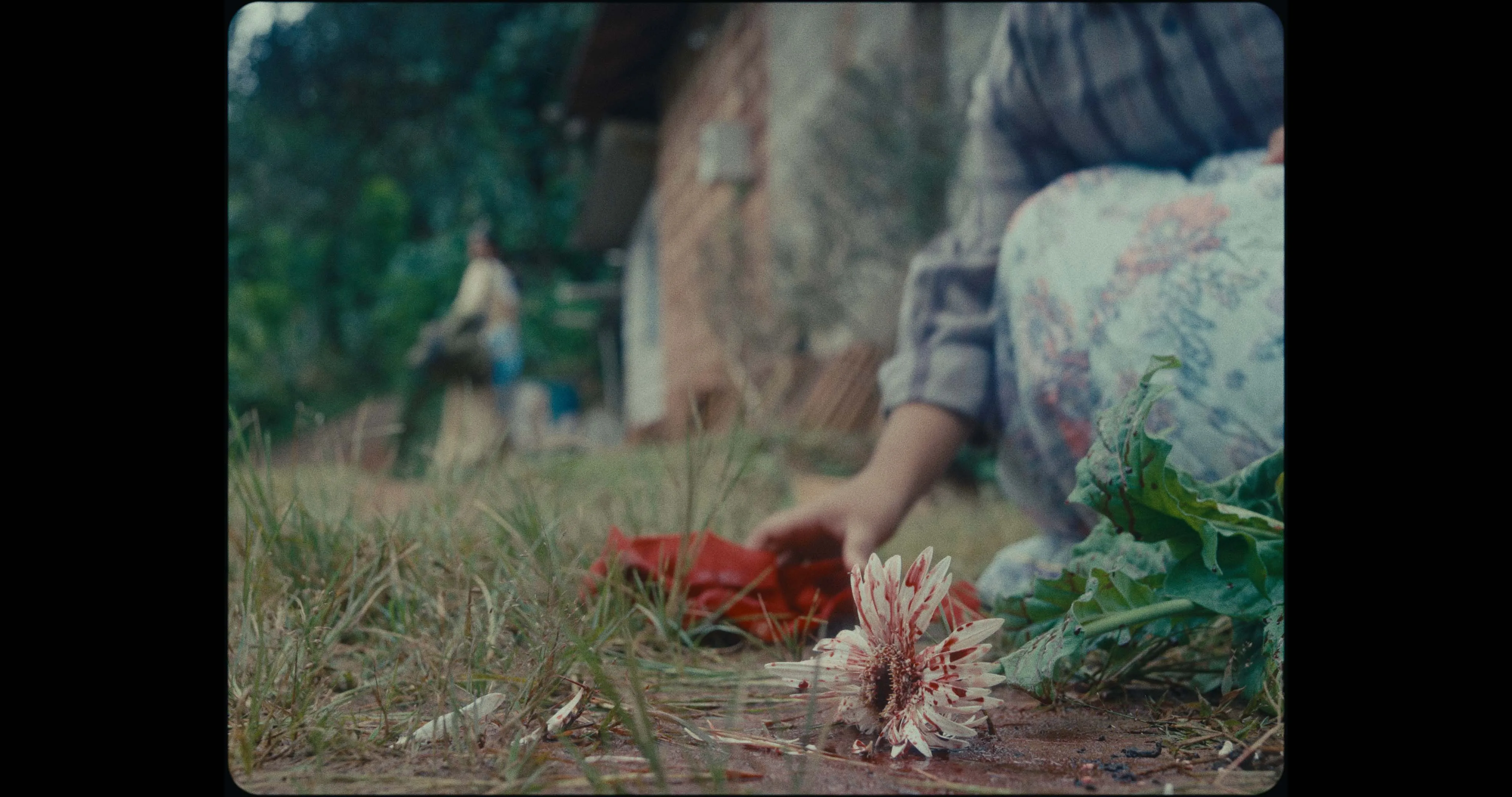 Lakshmi crouches in the grass reaching for a scattered red cloth, a boulder and forest behind her.