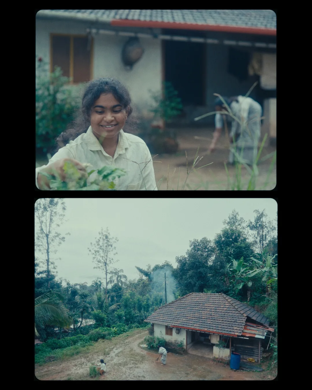 A girl smiles holding a handful of green leaves; below, a misty forest ridge under low monsoon cloud.