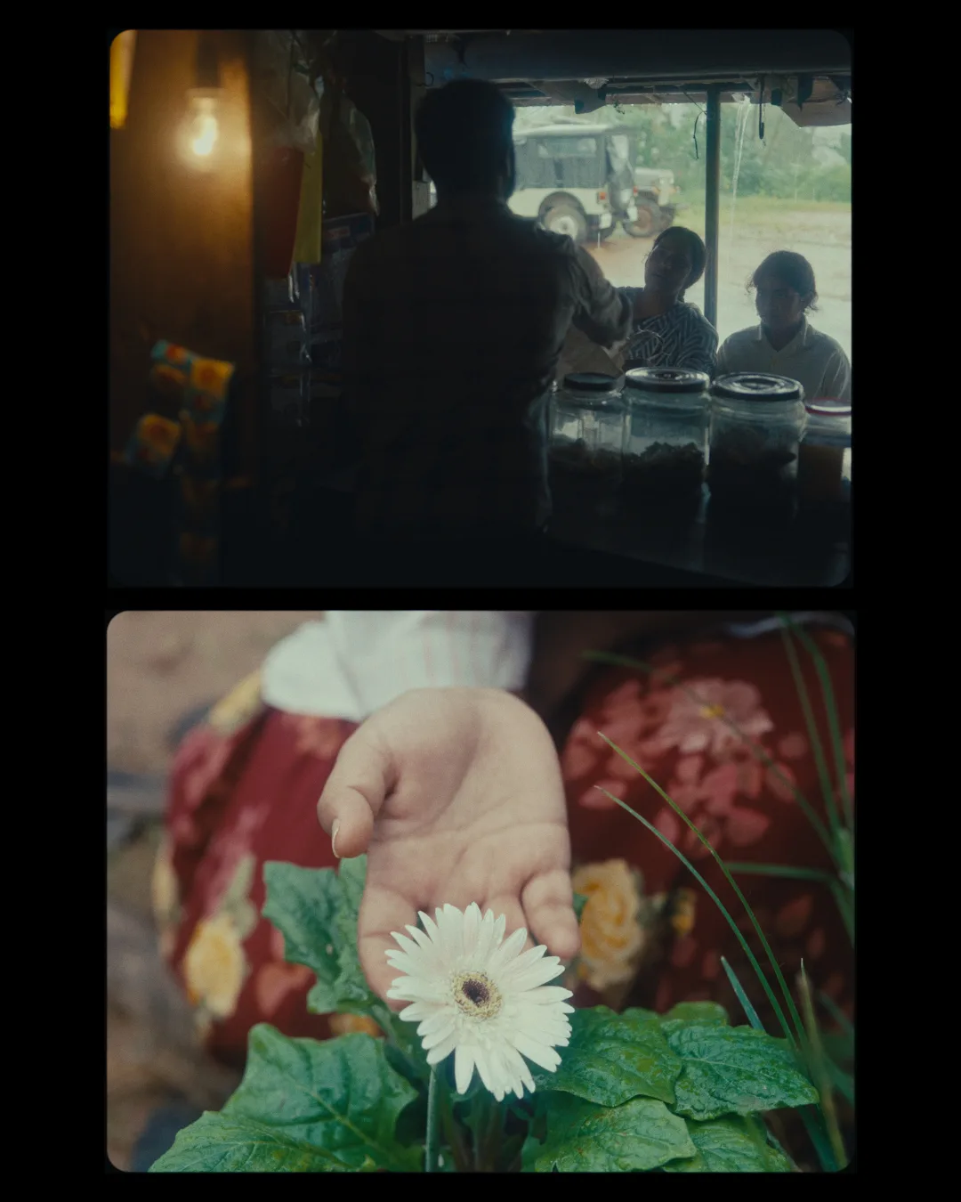 Glass jars on a shelf in a dark interior; below, a small hand reaching toward red flowers.