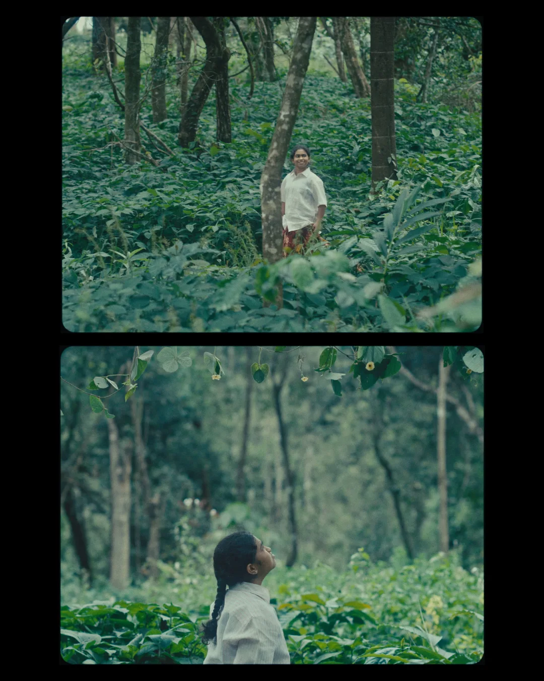 A figure in white almost lost among dense green forest; below, the tangled undergrowth and tall trees.
